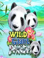 มารู้จัก m88 ทาง เข้า sbobet กับเกมสล็อตยอดนิยม